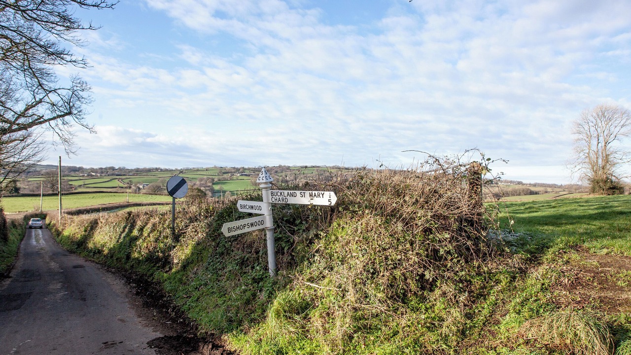 Photo of Others in Bishopswood