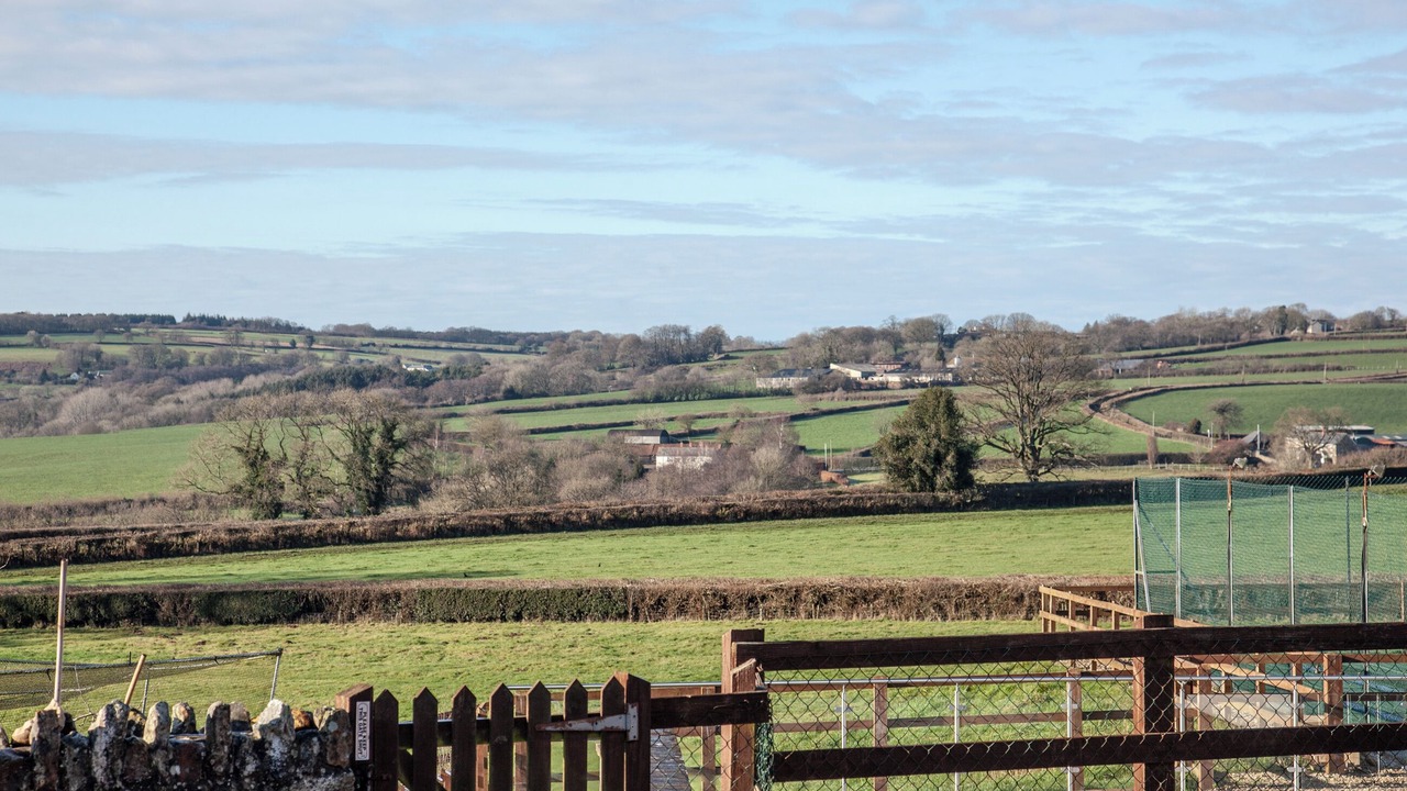 Photo of Others in Bishopswood