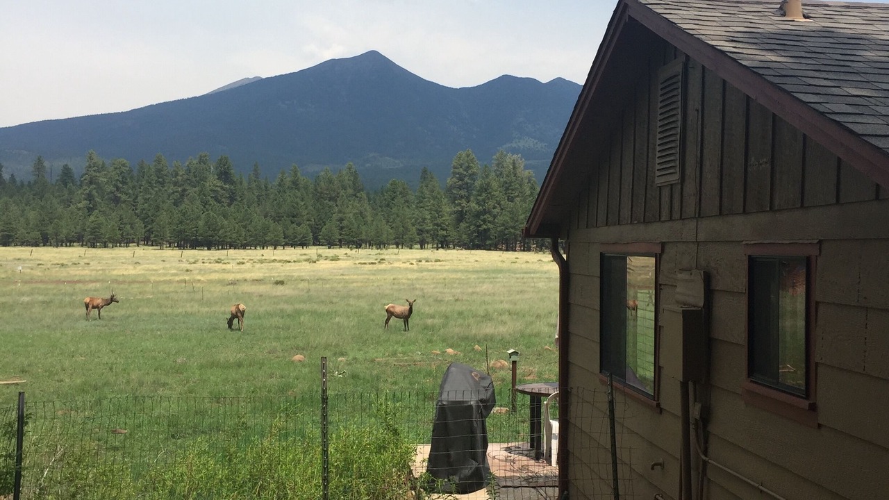 Photo of Outdoor in Fort Valley