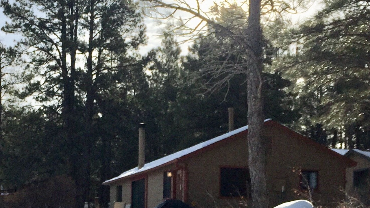 Photo of Outdoor in Fort Valley
