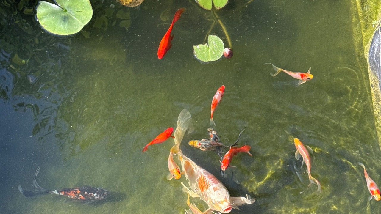 Photo of Outdoor in Barbentane