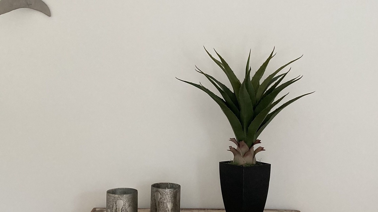 Photo of Others in Saint-Jean-de-Monts