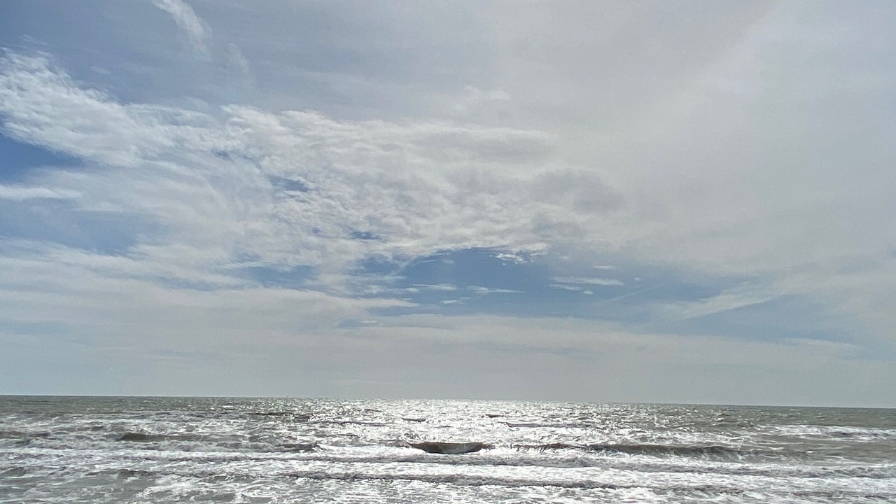 Photo of Others in Crecy-en-Ponthieu