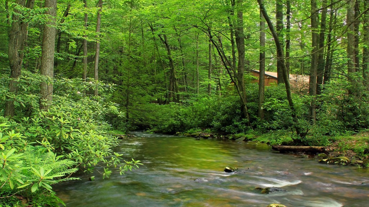 Photo of Others in Helmsburg