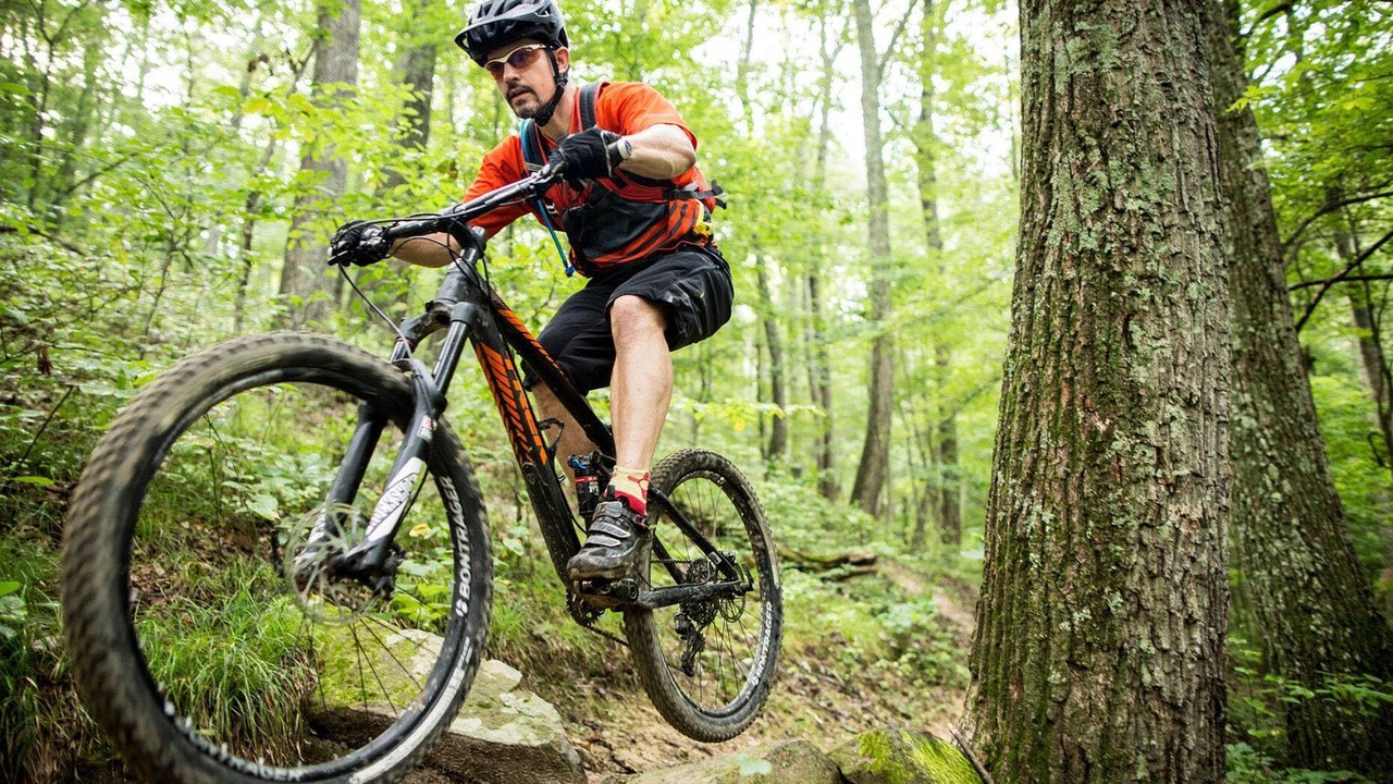 Photo of Others in Helmsburg