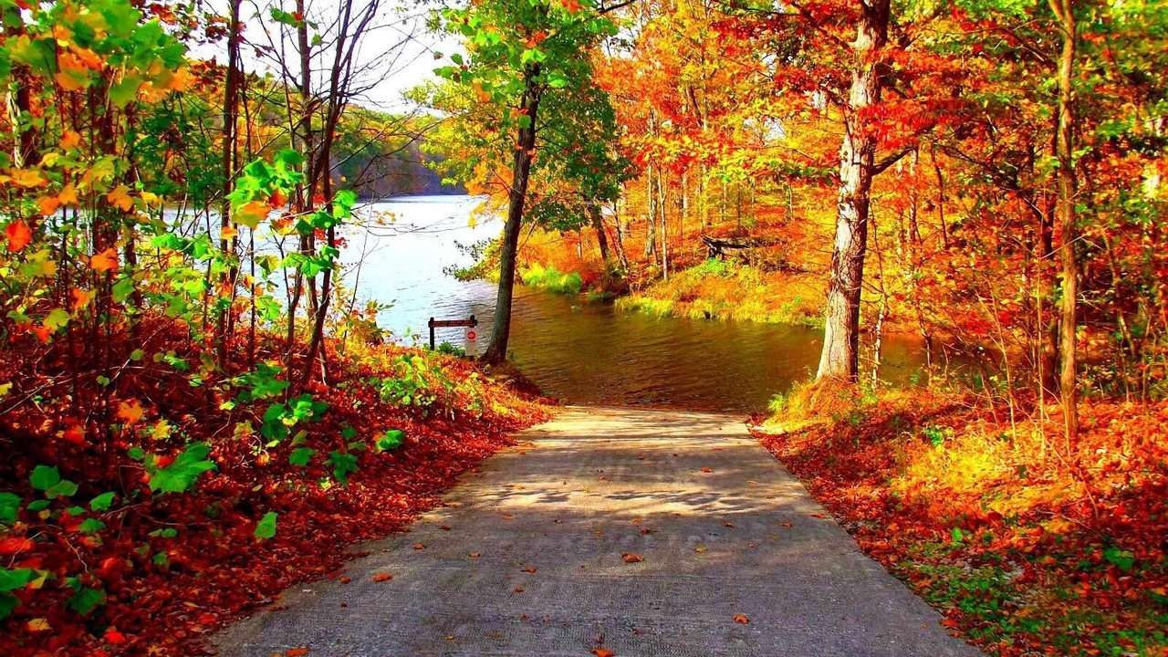 Photo of Outdoor in Helmsburg