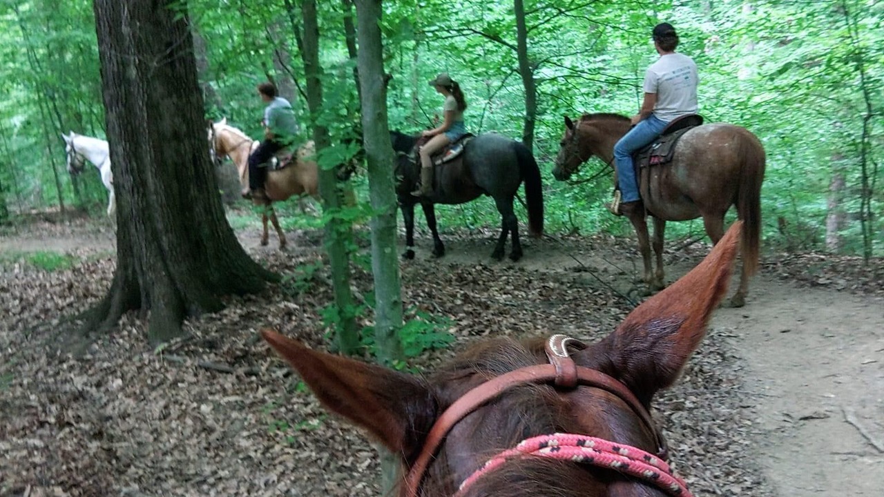 Photo of Others in Helmsburg