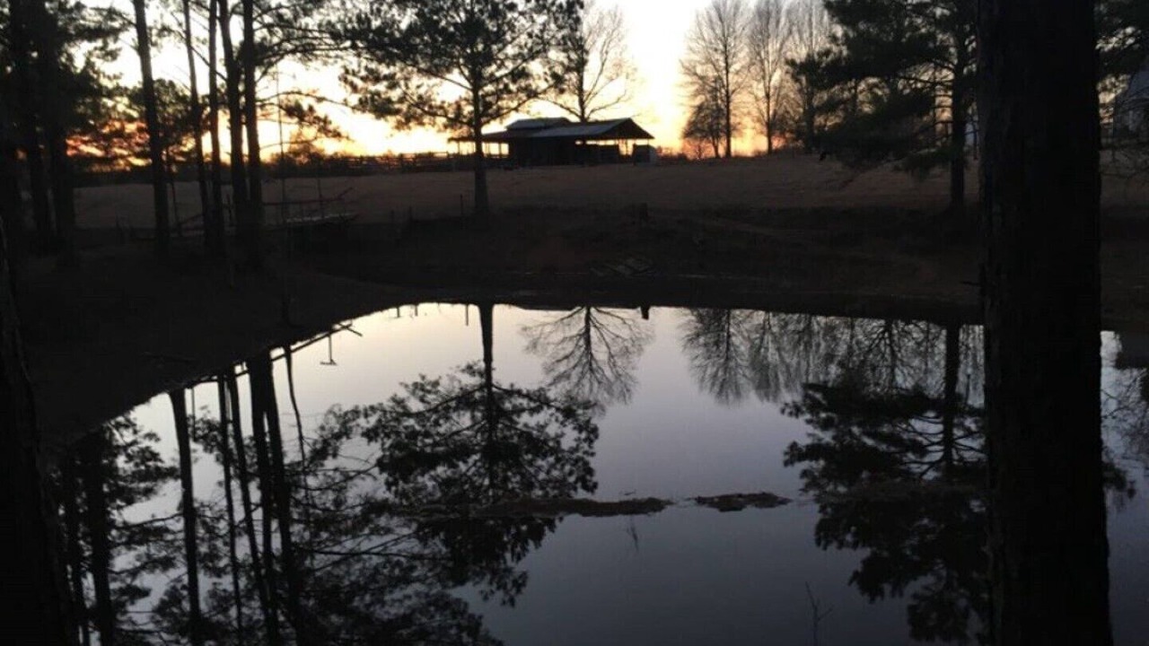 Photo of Outdoor in Tylertown