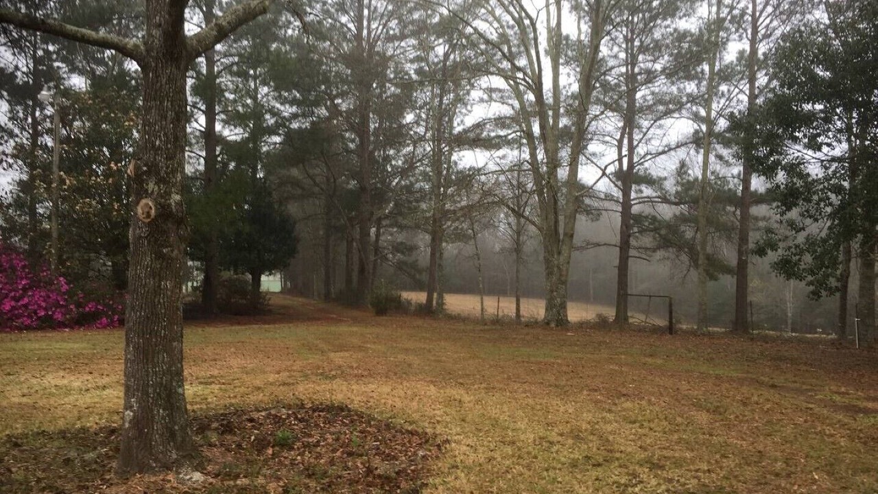 Photo of Outdoor in Tylertown