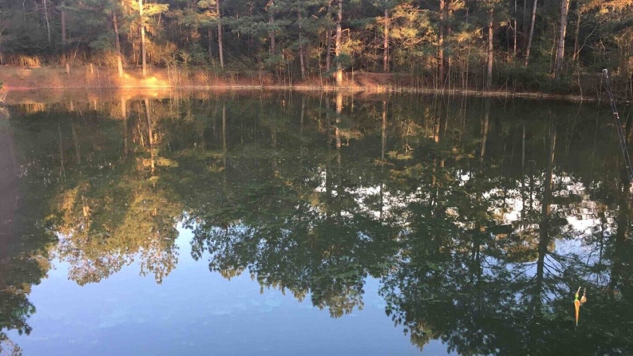Photo of Outdoor in Tylertown