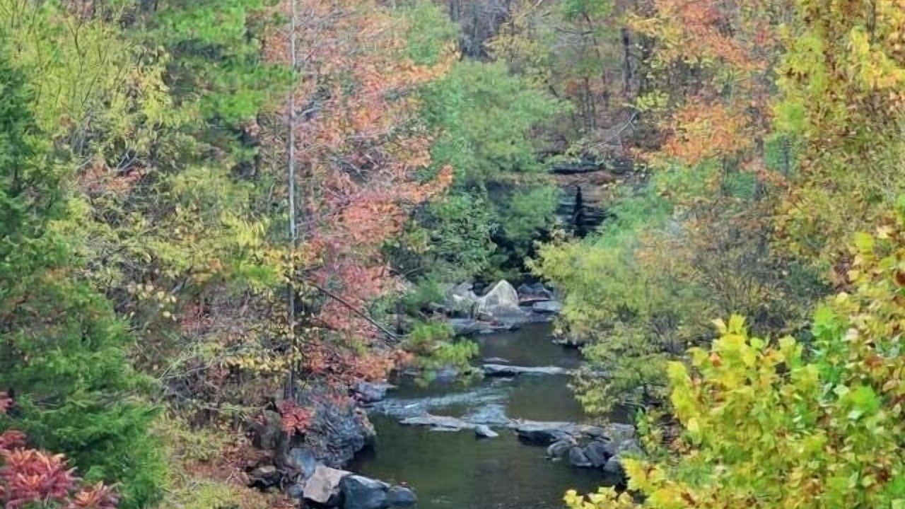 Photo of Outdoor in Hot Springs Village