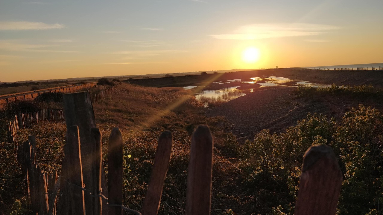 Photo of Others in Birchington