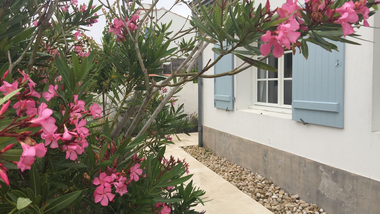 Photo of Outdoor in Noirmoutier-en-l'Ile