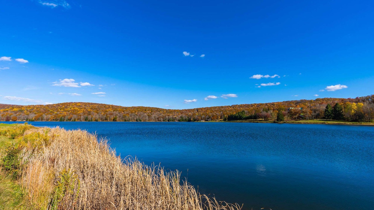 Photo of Outdoor in Alpine Lake