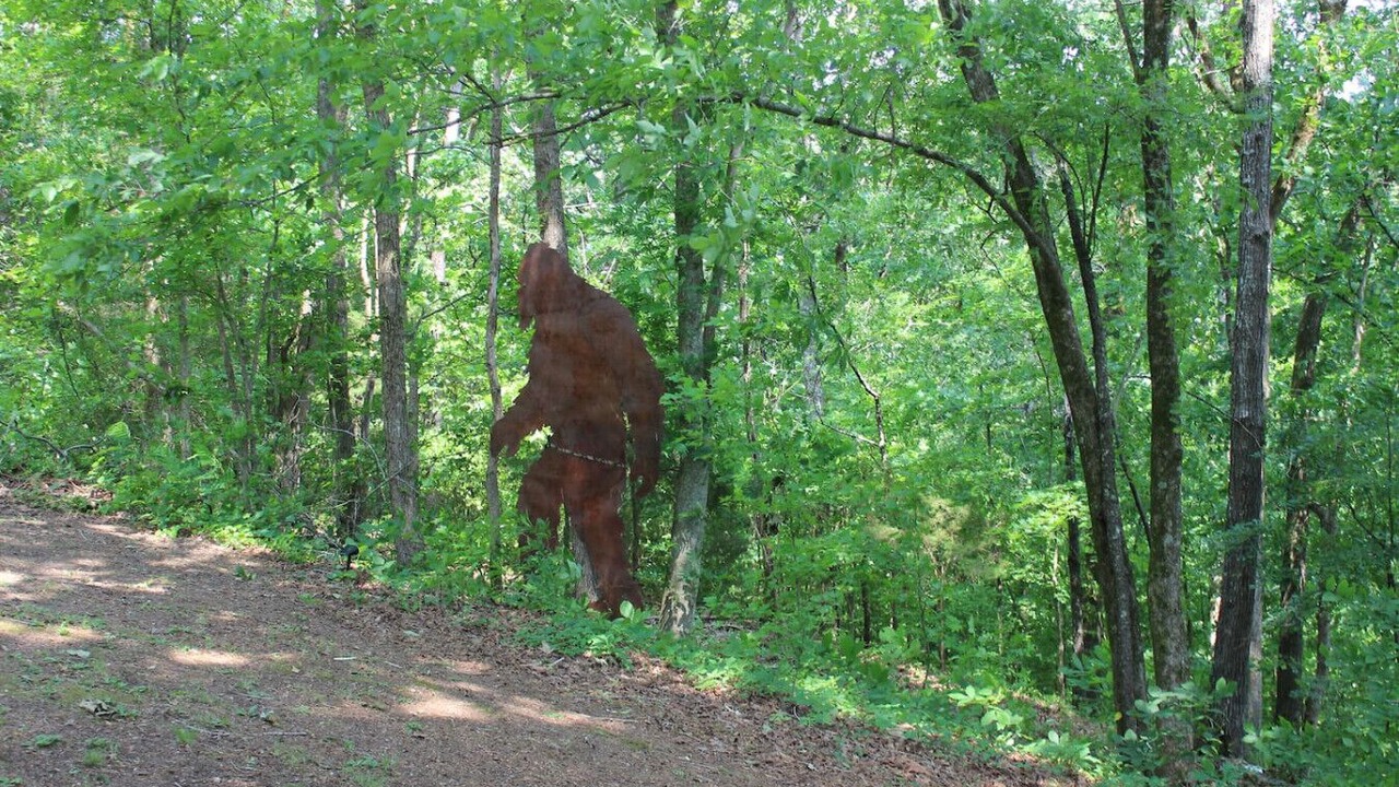 Photo of Others in Parsons