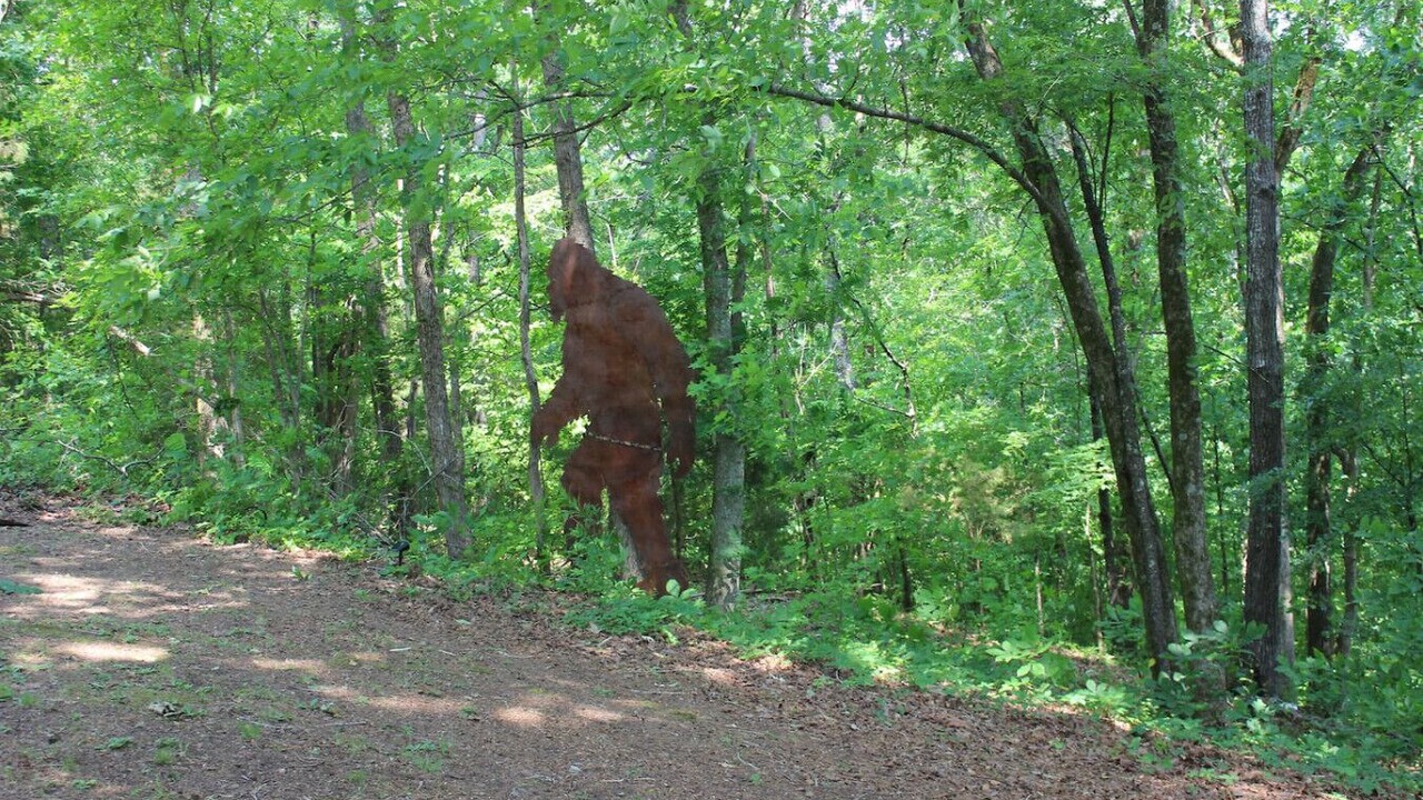 Photo of Others in Parsons