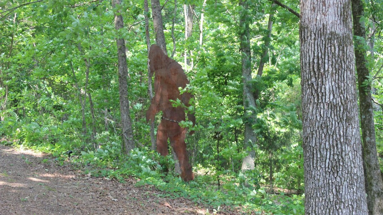 Photo of Others in Parsons