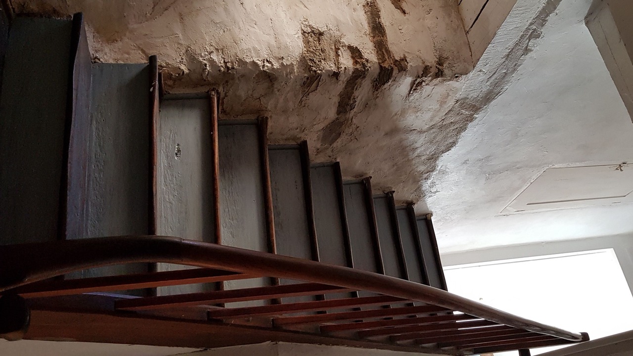 Photo of Others in Chateau-Gontier