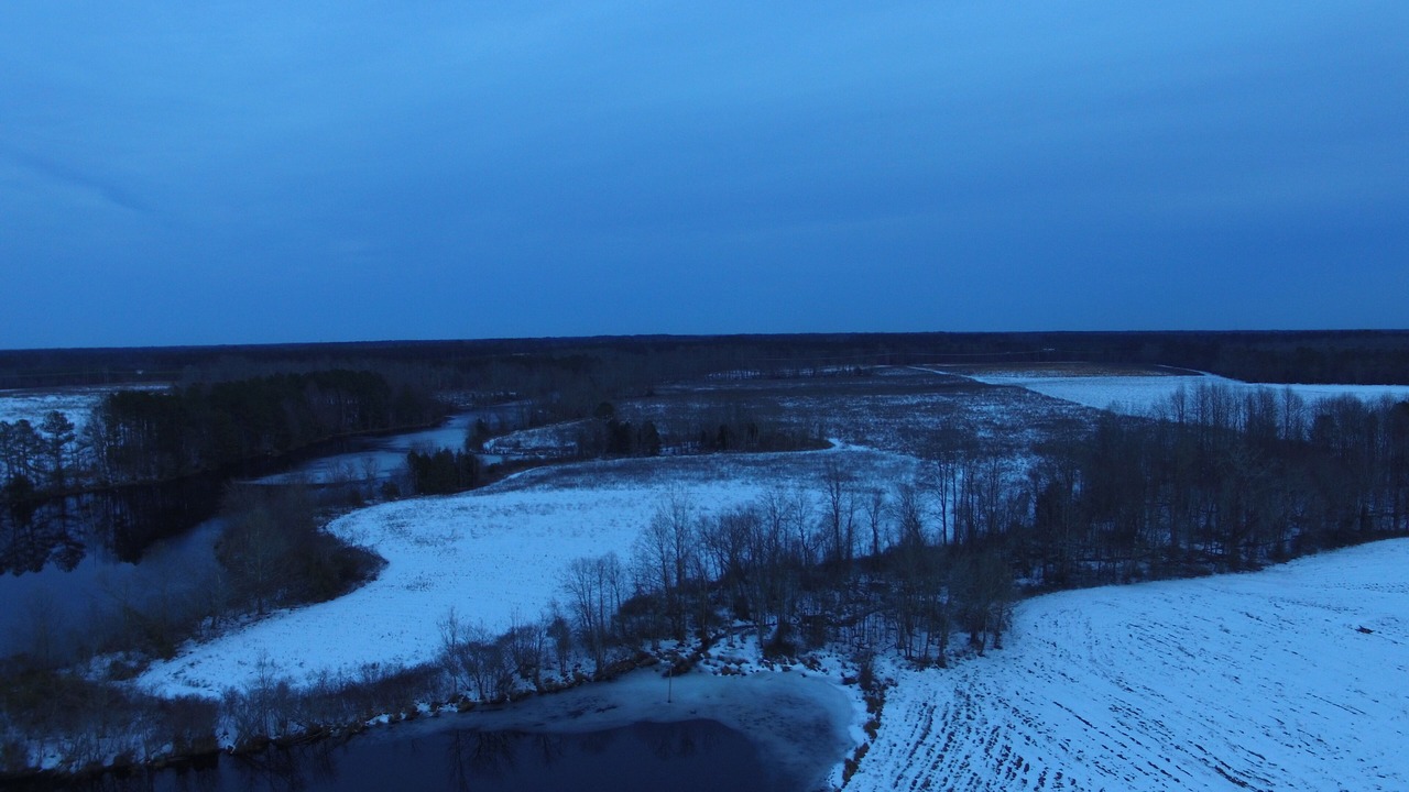Photo of Outdoor in Petersburg