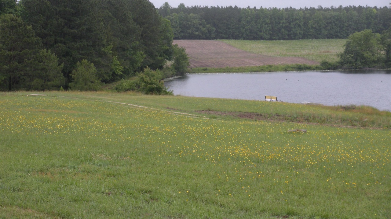 Photo of Others in Petersburg