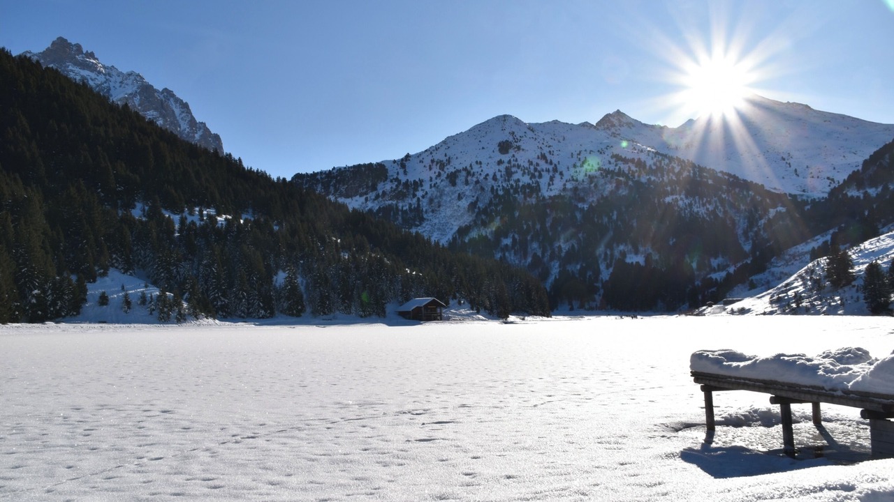 Photo of Others in Great Alpine Road