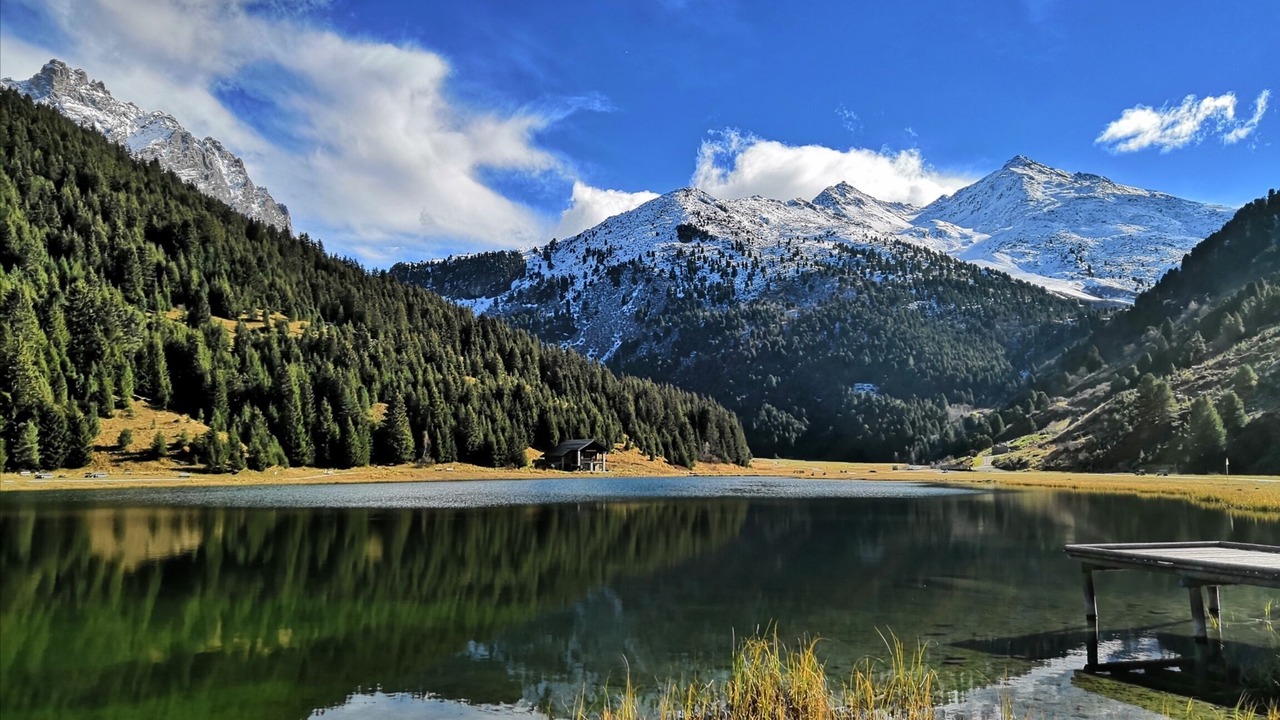 Photo of Others in Great Alpine Road
