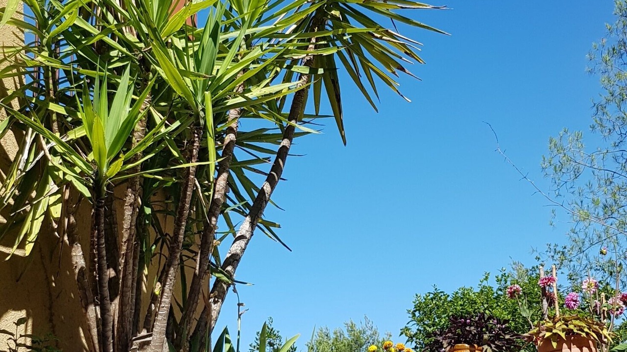 Photo of Outdoor in Gailhan