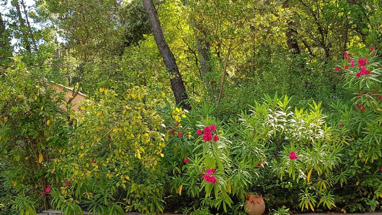 Photo of Outdoor in Gailhan