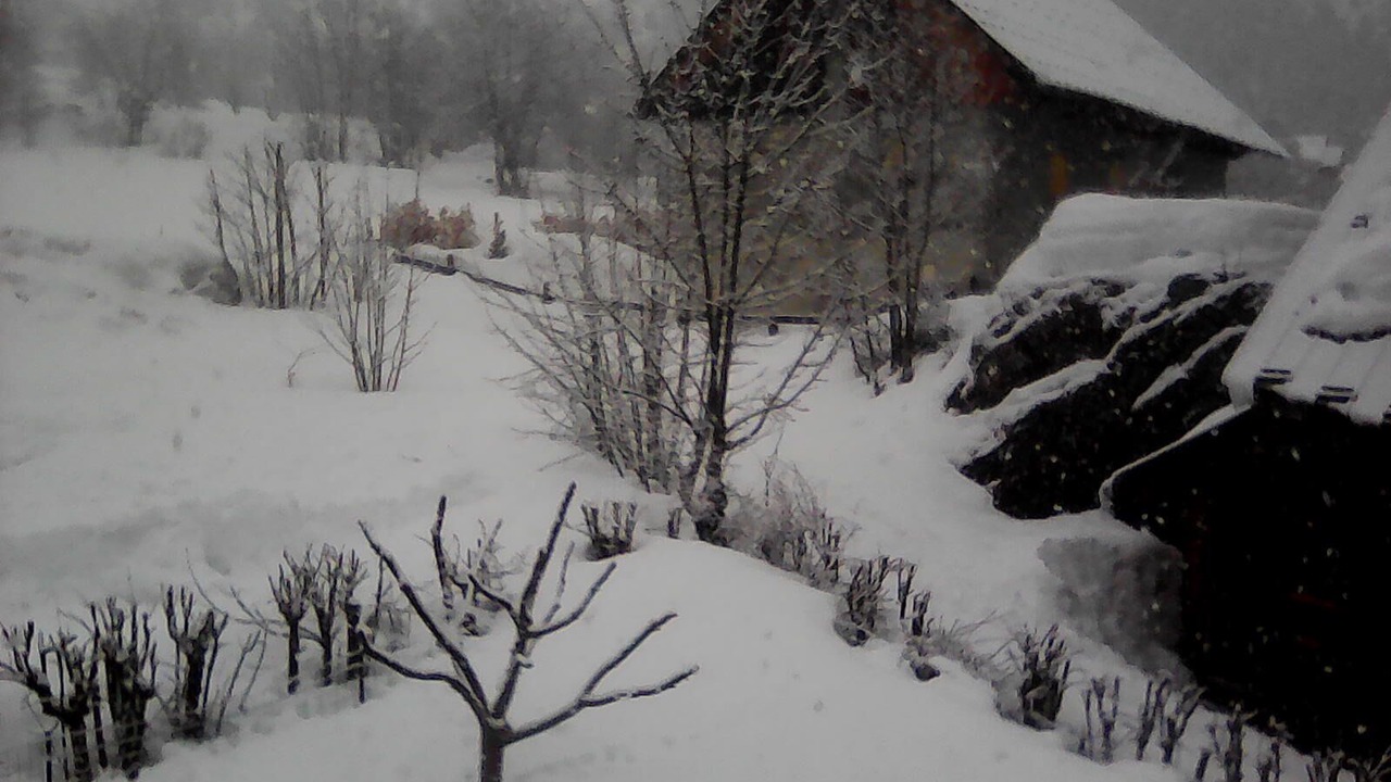 Photo of Others in Pelvoux