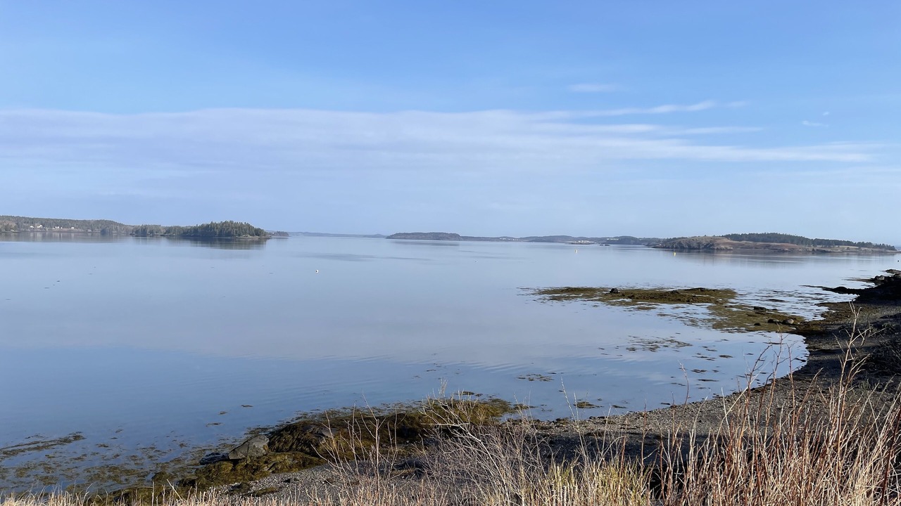 Photo of Others in Lubec