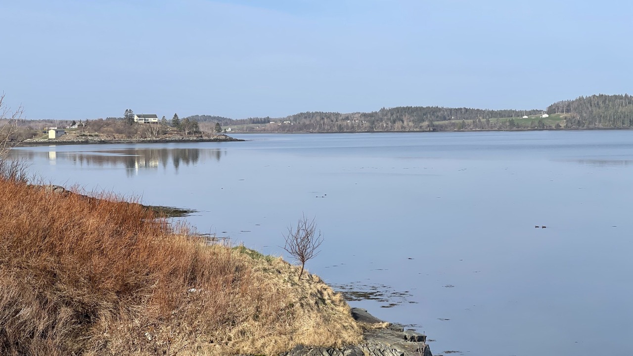 Photo of Others in Lubec