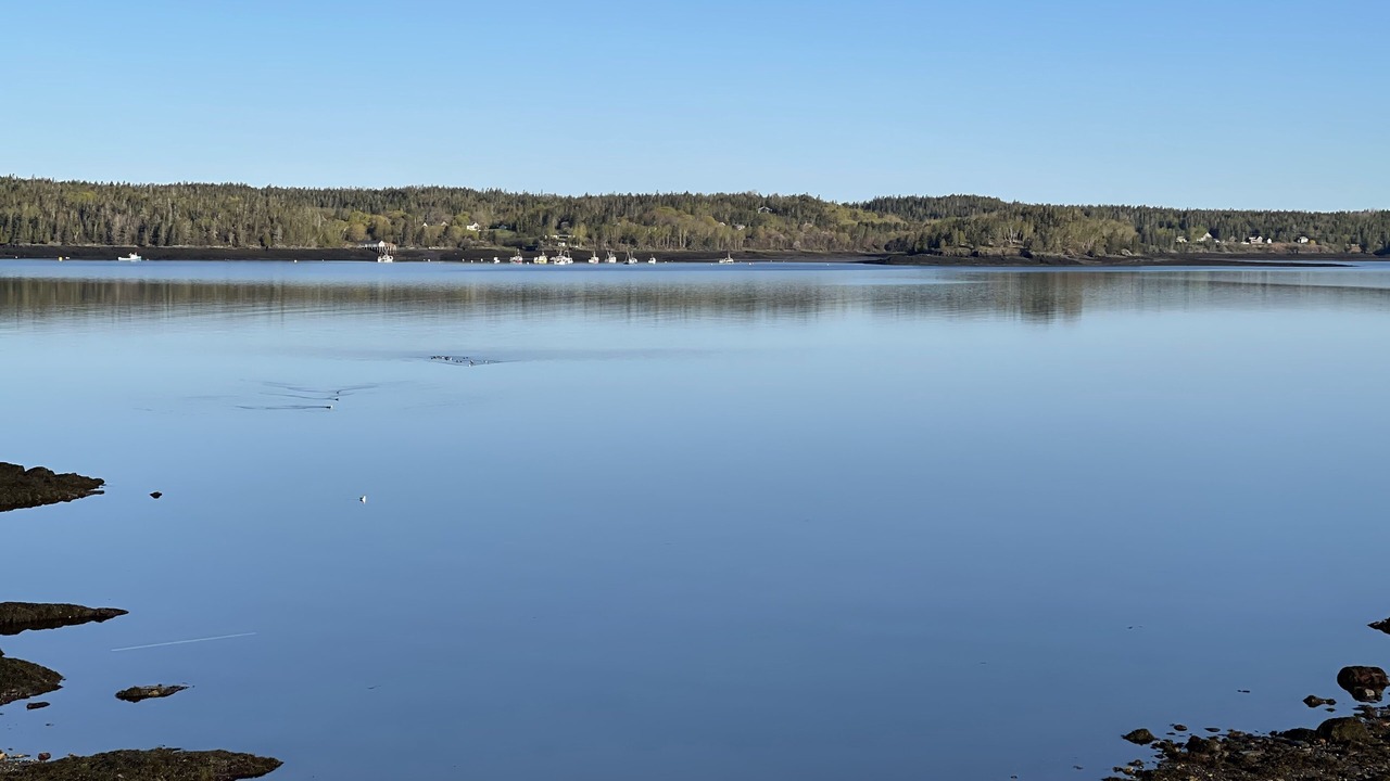 Photo of Others in Lubec