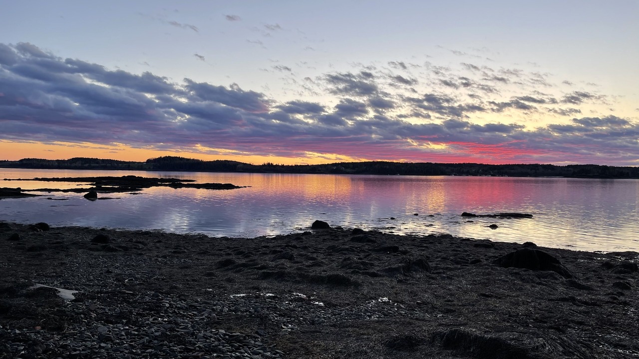 Photo of Others in Lubec