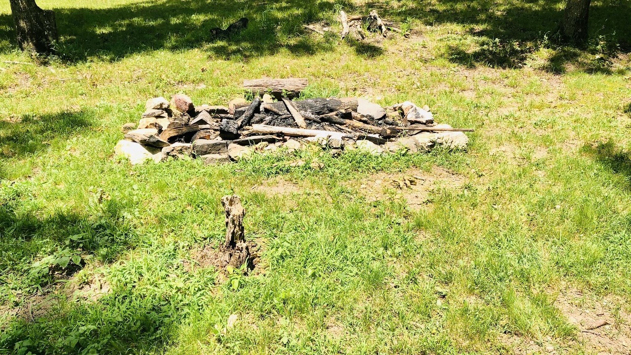 Photo of Others in Board Camp