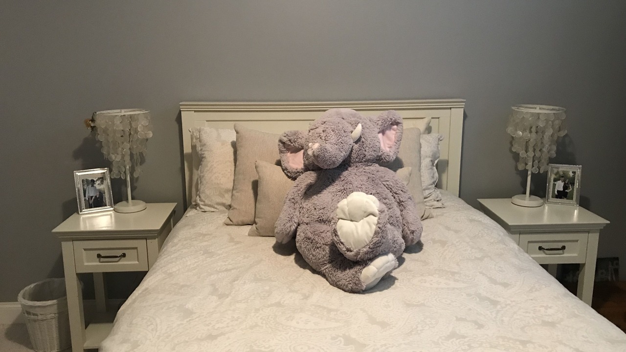 Photo of Bedroom in West End