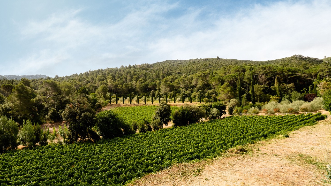 Photo of Outdoor in Villeseque-des-Corbieres
