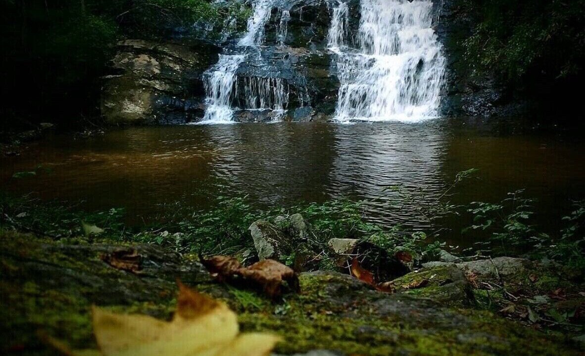 Photo of Outdoor in Dahlonega