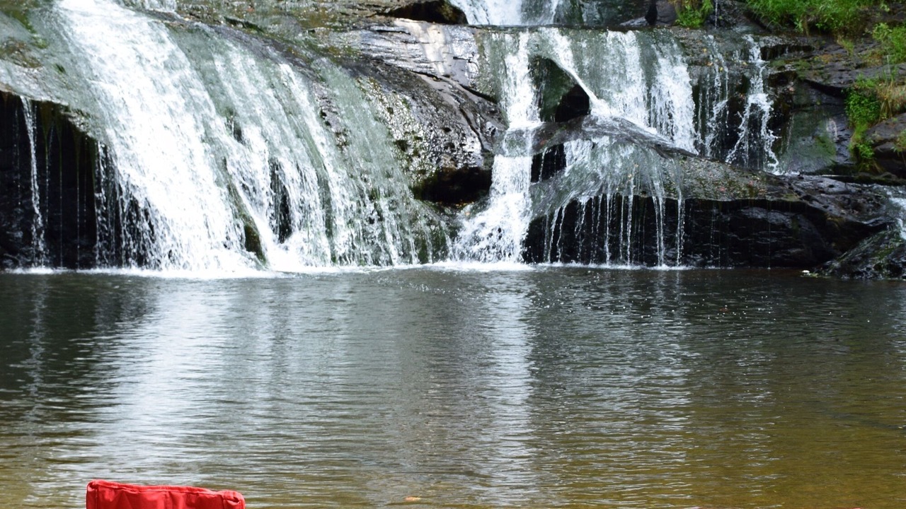 Photo of Others in Dahlonega