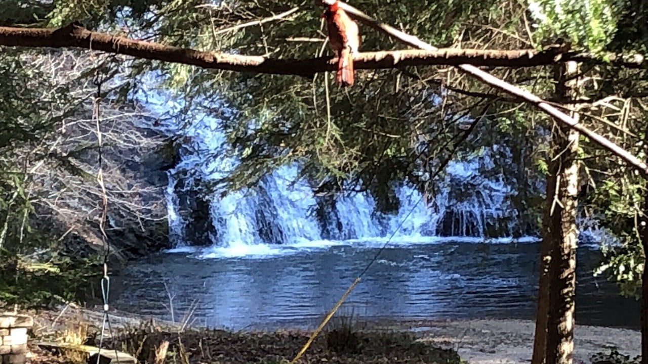 Photo of Outdoor in Dahlonega