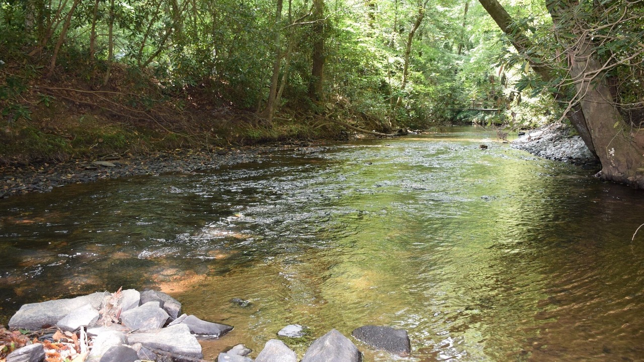 Photo of Others in Dahlonega