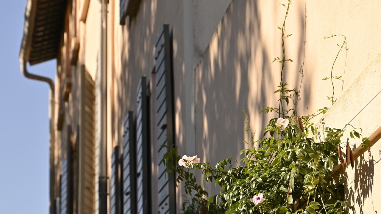 Photo of Outdoor in Perpignan