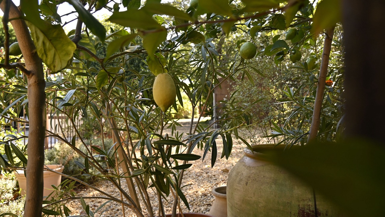 Photo of Outdoor in Perpignan