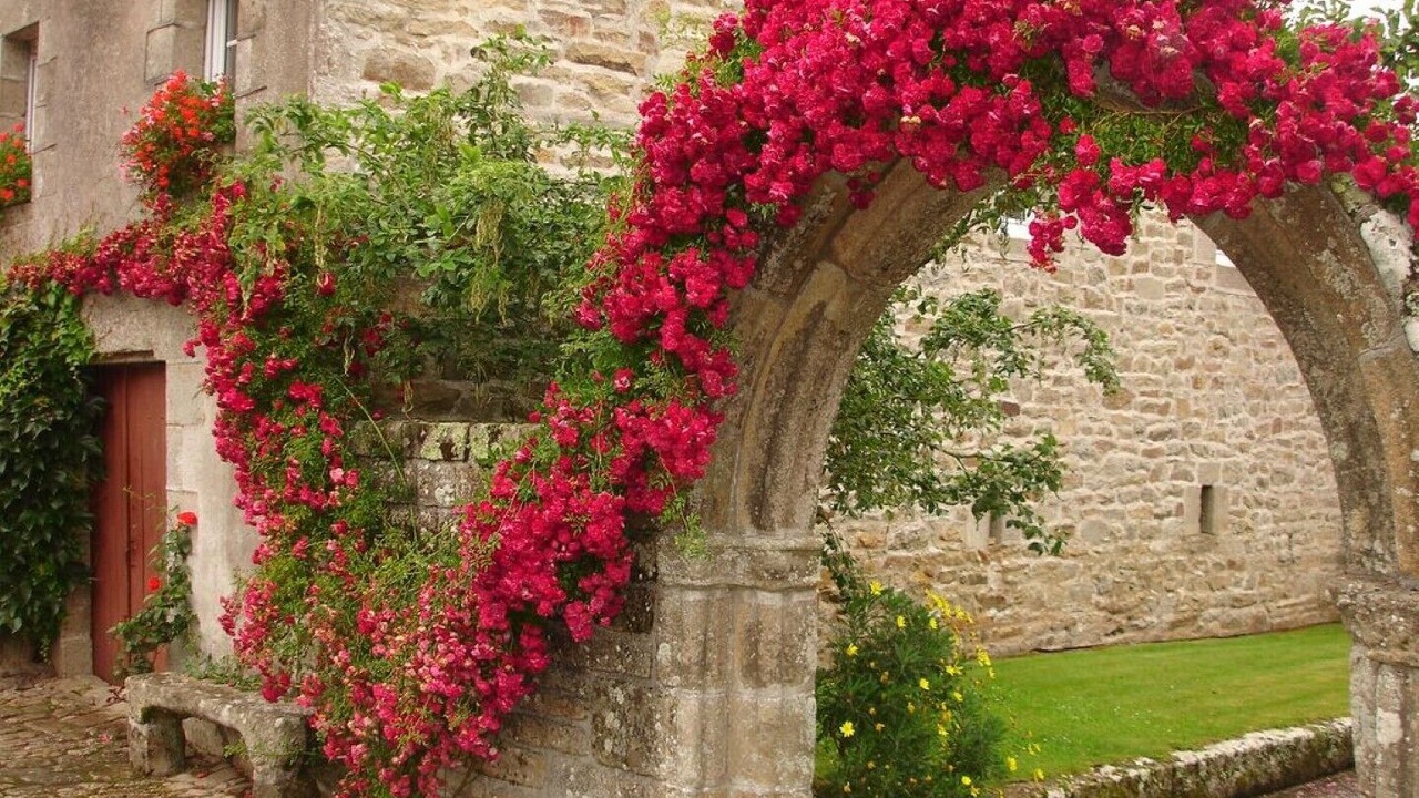 Photo of Outdoor in Esquibien