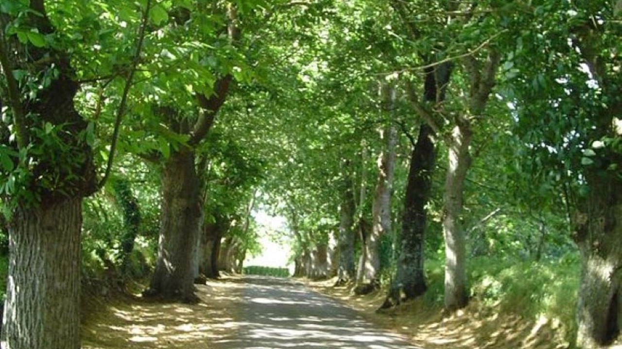 Photo of Outdoor in Esquibien