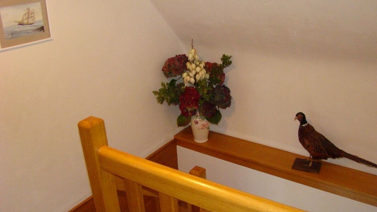 Photo of Others in Esquibien