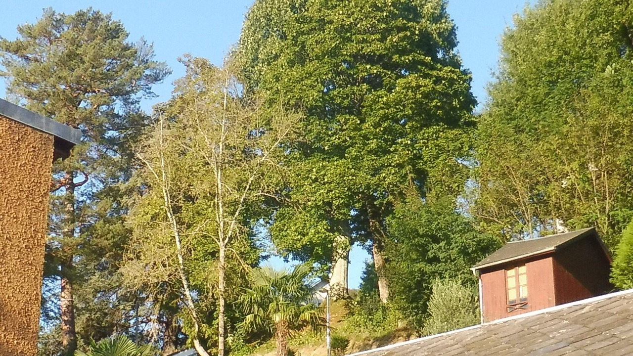 Photo of Others in Bagneres-de-Bigorre