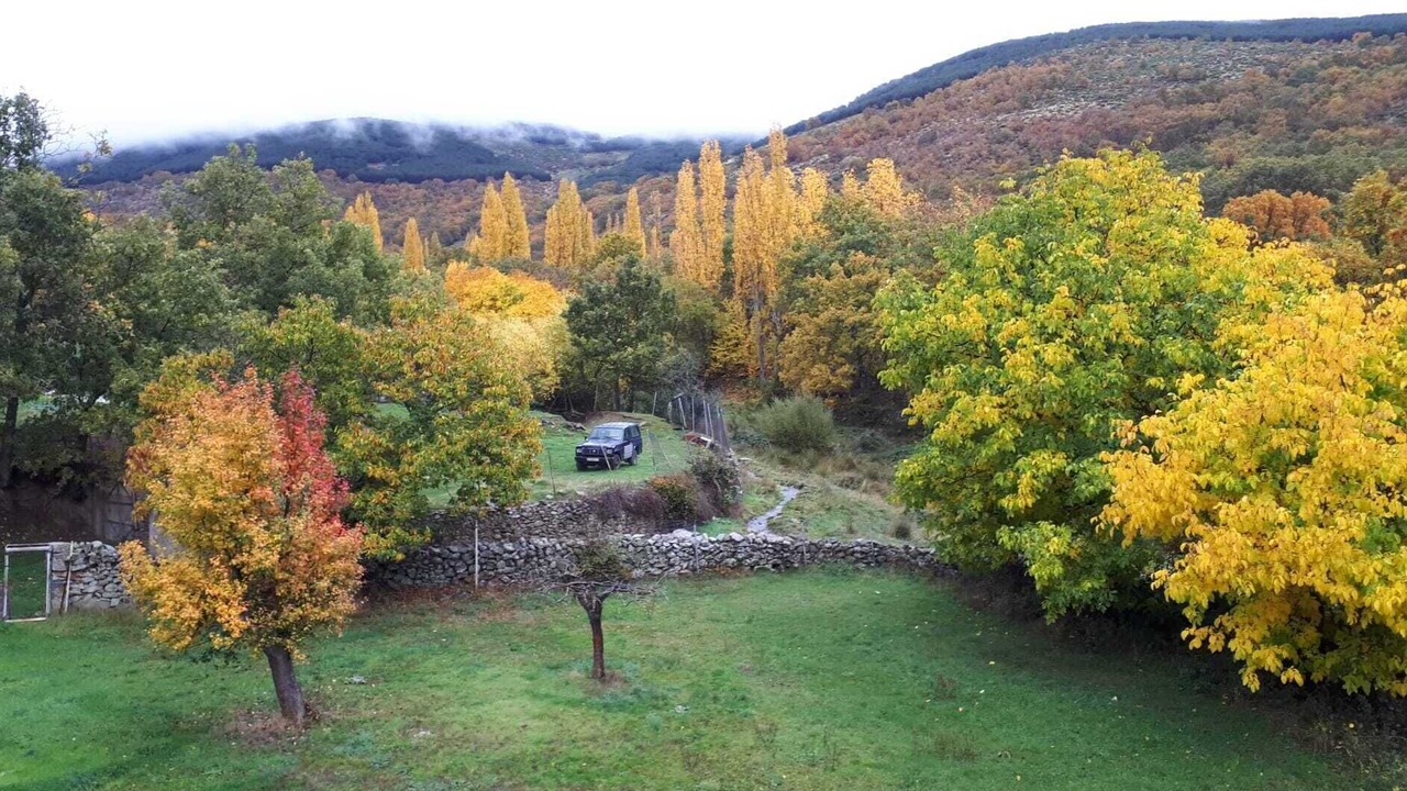 Photo of Outdoor in Avellaneda