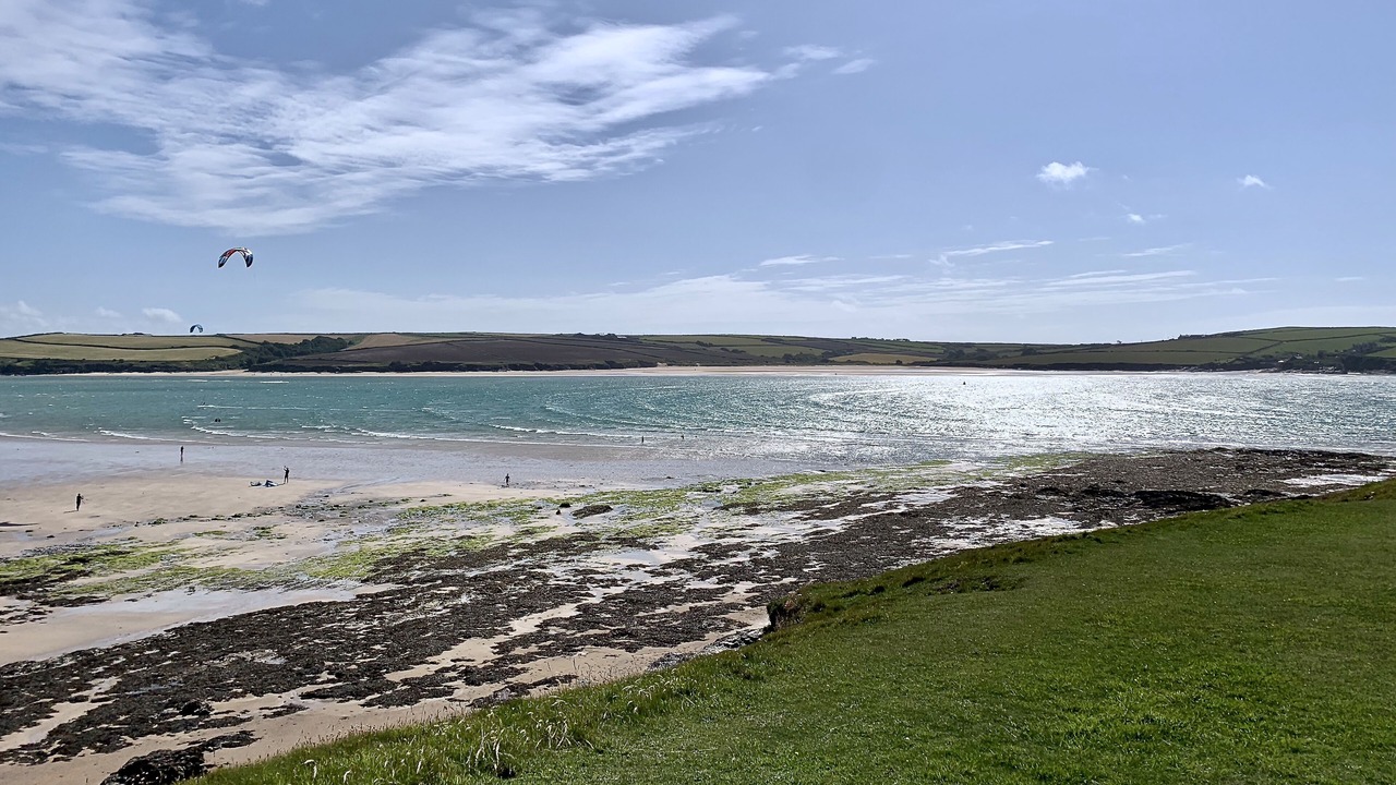 Photo of Others in Treator