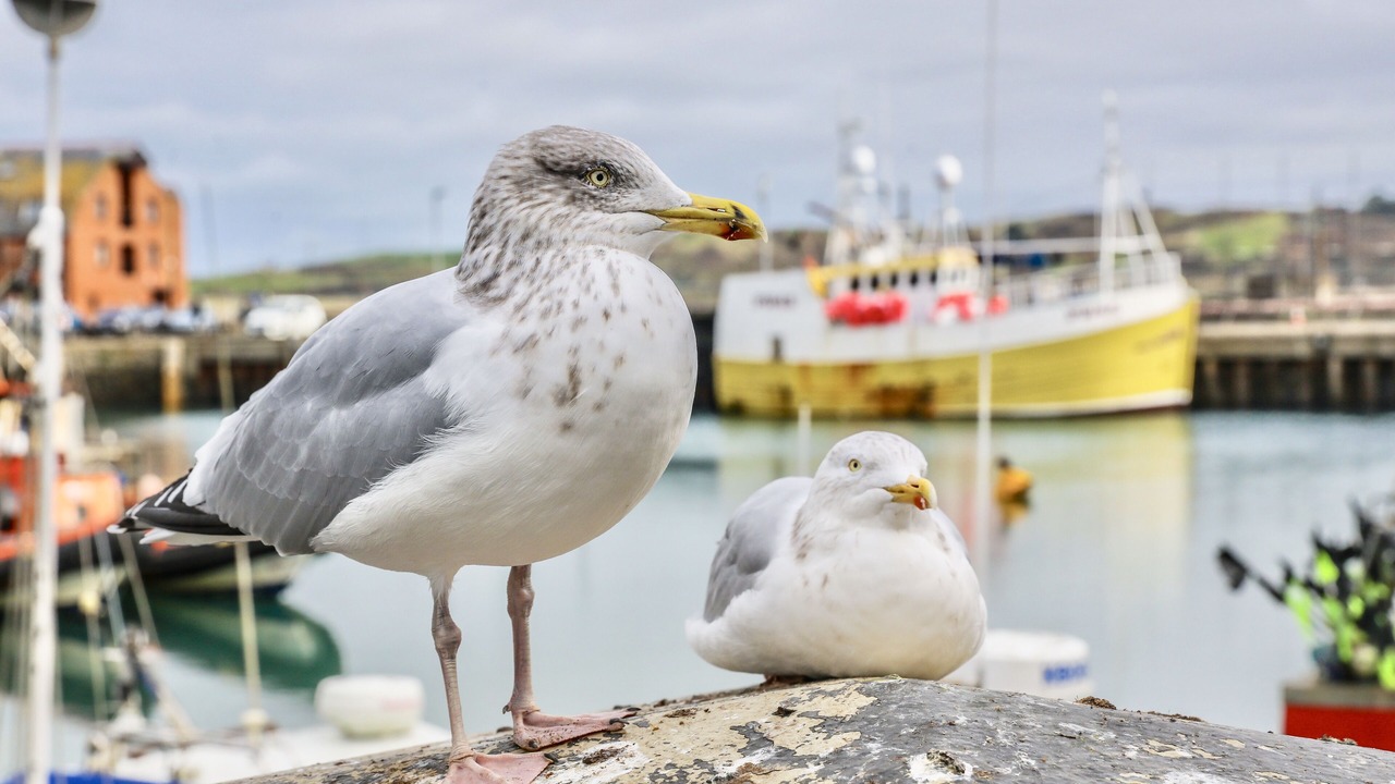 Photo of Others in Treator