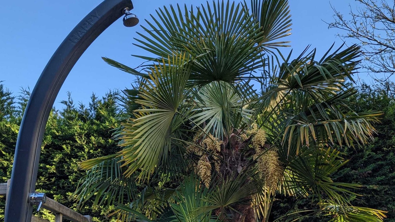 Photo of Outdoor in Saint-Paul-en-Born